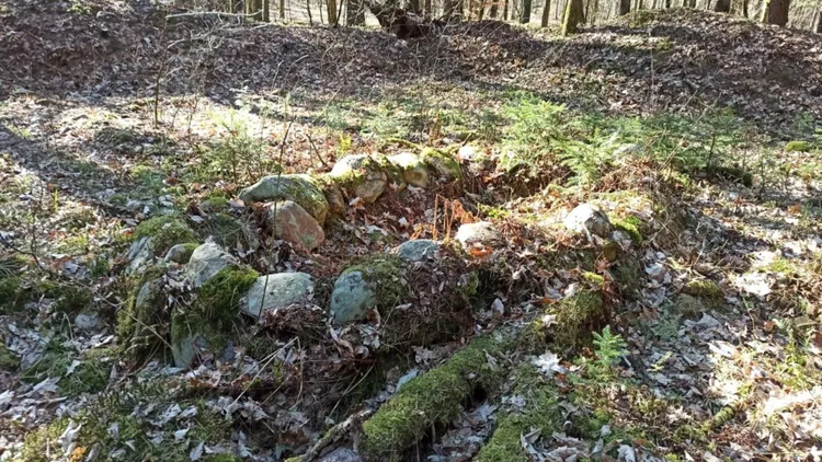 W Polsce powstaną zupełnie nowe cmentarze, wyrosną świątynie. Nie będzie tam miejsca dla katolików