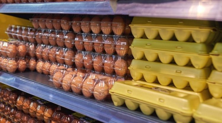 Dlaczego w sklepach jajka są poza lodówką? Odpowiedź może zaskoczyć