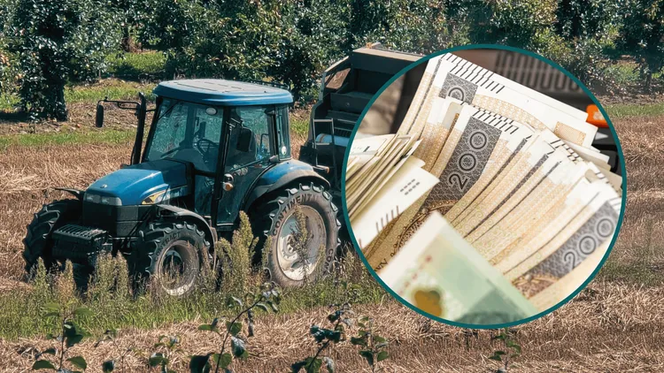 Ruszył nowy program dla młodych rolników. Można zyskać do 300 tys. zł