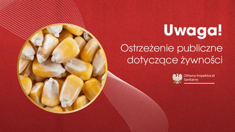 Uwaga na niezadeklarowaną pszenicę w popularnych przekąskach kukurydzianych. Sprawdź datę i nie ryzykuj, jeśli masz alergię