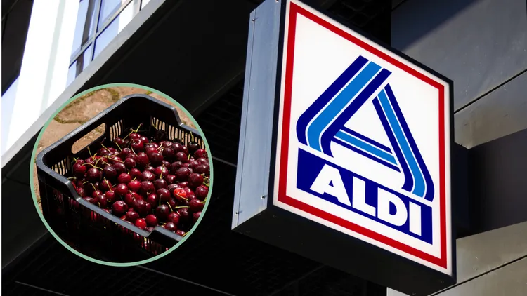 Rekordowe ceny czereśni w ALDI. Kolejki aż się zawijają. U konkurencji drożej niemal o połowę