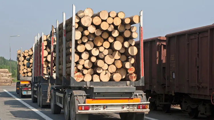 Rosja znów omija sankcje gospodarcze. Towary trafiają m.in. do Polski