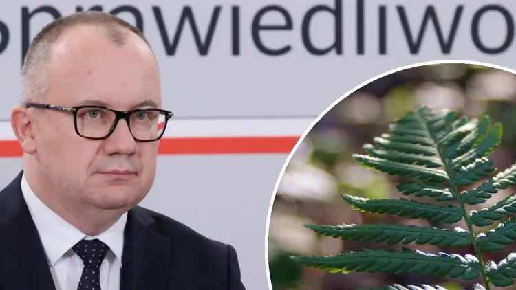 Kuriozalna akcja resortu sprawiedliwości, do sądów trafiły przesyłki. "Bareja wiecznie żywy"