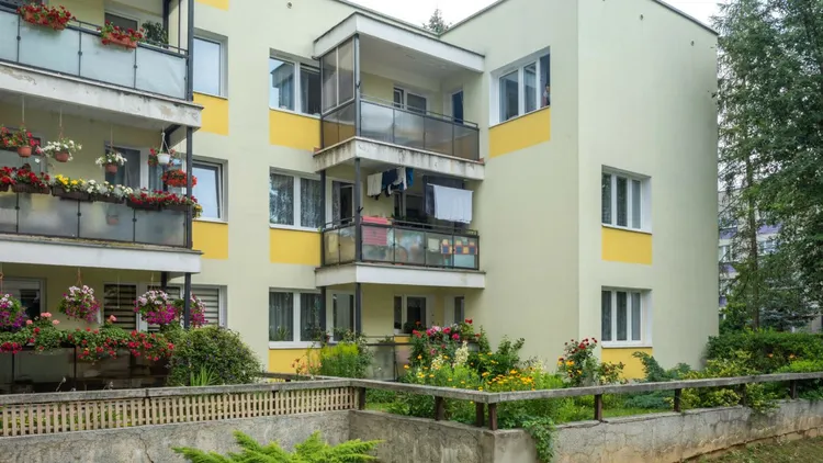Mandat za kwiaty na balkonie? Przepisy stawiają sprawę jasno