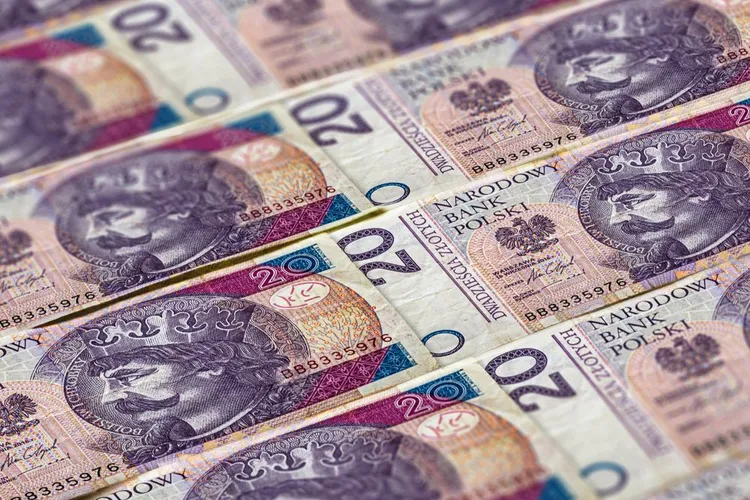 Do obiegu trafi nowy banknot o nominale 20 zł. "Wyjątkowo piękny"