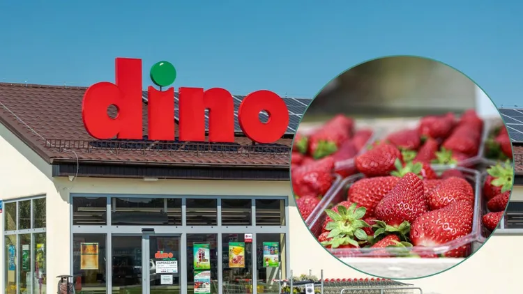Promocja na truskawki w Dino. Tyle klienci zapłacą za kilogram, taniej nie kupią nigdzie