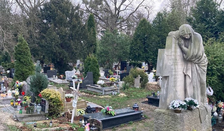 Absurdalne koszty na cmentarzach. Kilkaset złotych za sprzątanie