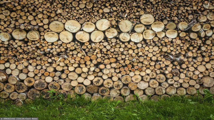 Niemiecki producent zwija się z Polski. Dziesiątki pracowników do zwolnienia