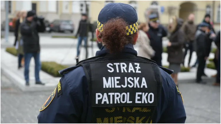 Gatunek zakazany w Polsce. Za jego hodowlę mandat nawet 1 mln zł