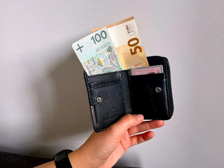 Euro byłoby lepsze niż polski złoty? Ekspert wyliczył konkretne skutki