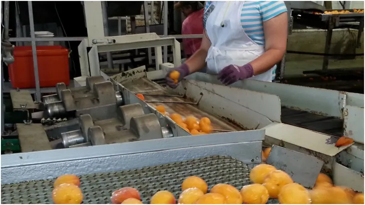 Potężny producent kończy działalność. Aż 200 osób do zwolnienia, smutek w całym regionie