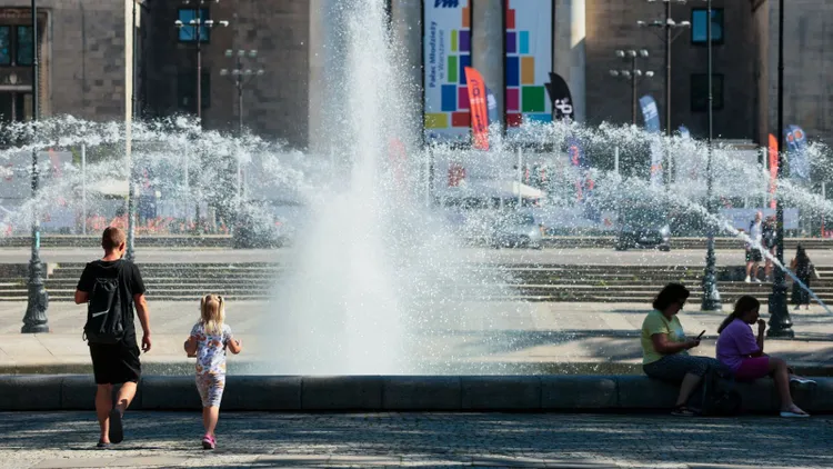 Surowe kary za takie zachowanie podczas upałów. 500 zł mandatu to tylko początek problemów