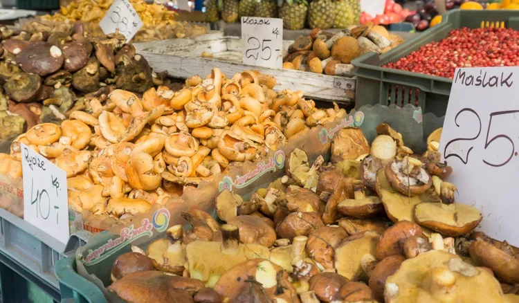 Polacy kupują je bez opamiętania. GIS chce zakazu sprzedaży groźnych grzybów