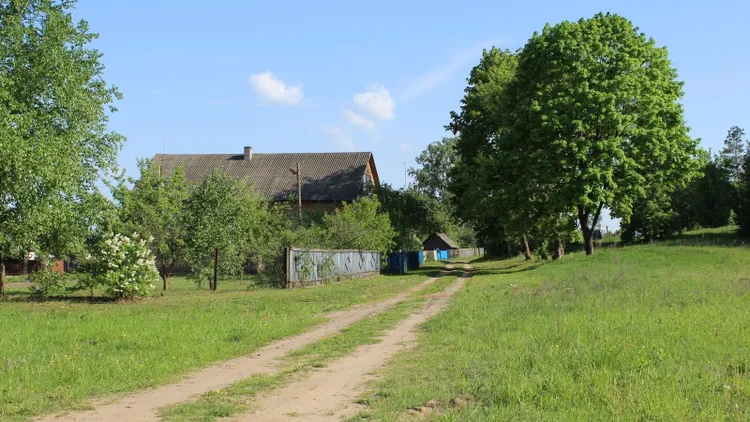 Tych drzew nie sadź blisko domu. Przyciągają pioruny, mogą wszystko zniszczyć