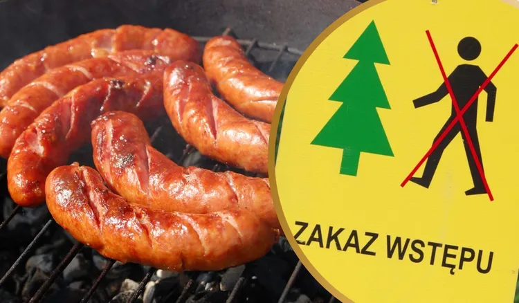Czy lasy będą zamknięte na długi weekend? Jest komunikat od Lasów Państwowych