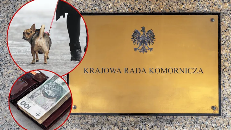 Komornik zabrał to ludziom w imię długu. Najbardziej kontrowersyjne egzekucje