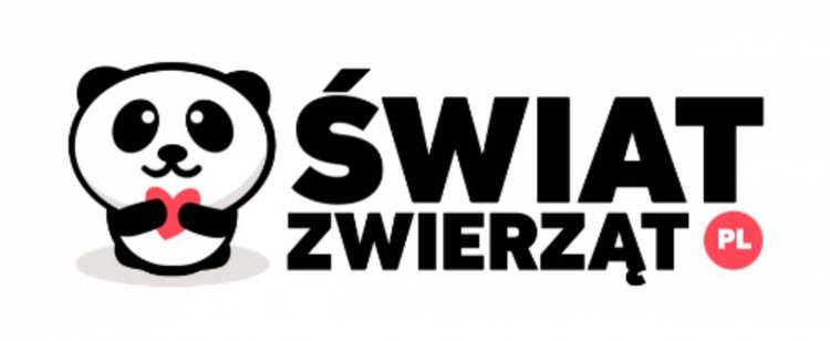Piątka dla zwierząt: Tysiące Polaków popiera zakaz. Biorą udział w masowej akcji