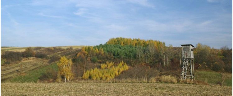Rząd sięga po pieniądze myśliwych. Polski Związek Łowiecki oburzony, w grę wchodzą miliony złotych