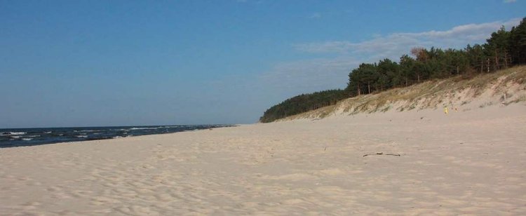 Nad Bałtykiem możesz obłowić się w bursztyn. Ale tylko w konkretnych miejscach