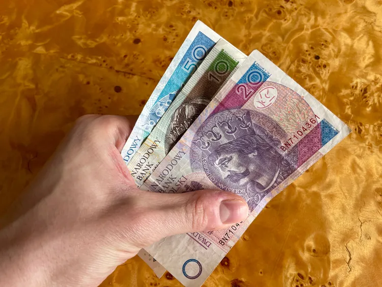 Polacy chętnie oddają swoje dane w zamian za programy lojalnościowe. Badania pokazują realia obecnych zakupów
