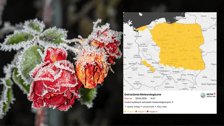 Groźne warunki w Polsce. IMGW wydał ostrzeżenia dla aż 14 województw