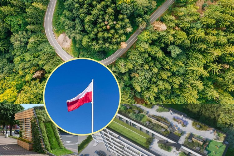 Odbetonować, zazielenić, powtórzyć. Polska zmienia swe oblicze, każdy może wziąć udział, są też dofinansowania