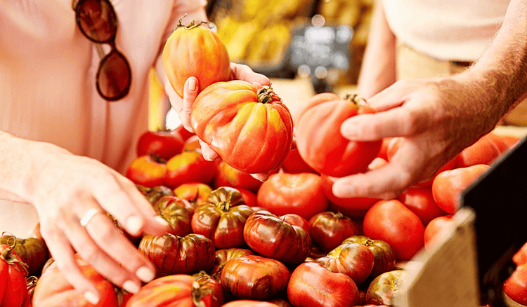 Kupisz je nawet po 6,99 zł/kg. Sprawdź, gdzie teraz są najtańsze pomidory