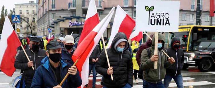 Czy rolnicy dołączą do protestujących kobiet? Mocna deklaracja PiS ws. piątki dla zwierząt
