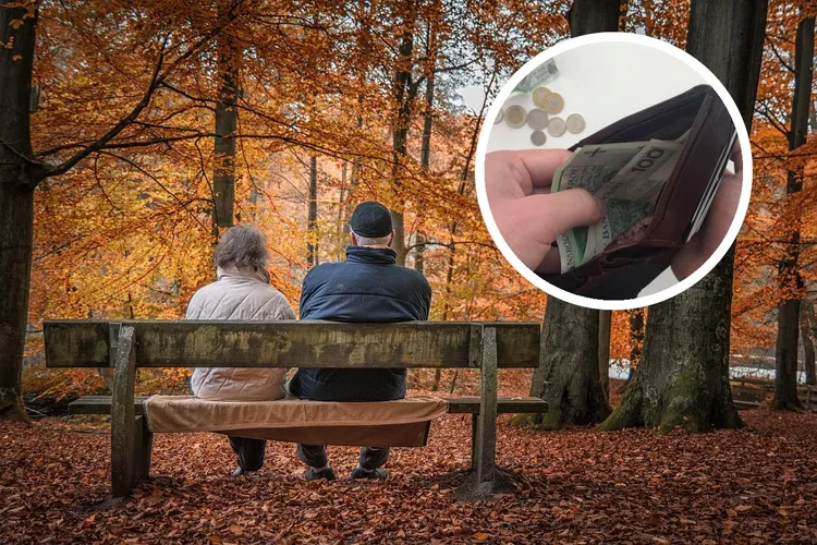 Ulga i bezpłatne leki. Skorzysta wielu seniorów, ale jest kilka warunków