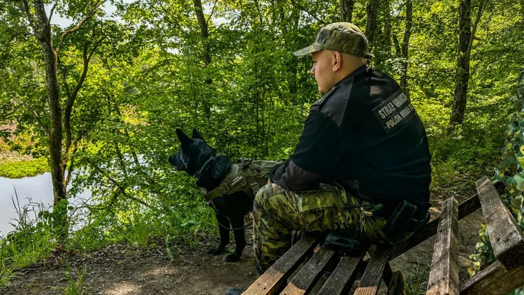 Straż Graniczna przyjmie blisko 2 tys. osób. Takie zarobki dla rozpoczynających służbę