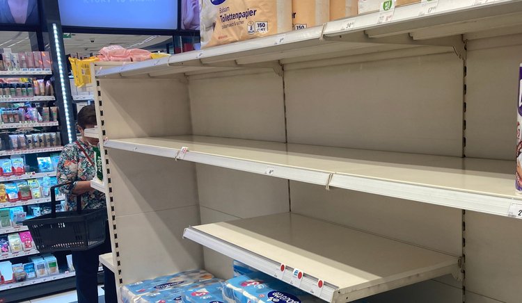 Fatalna sytuacja z dostępem do drewna. Polskie firmy chcą natychmiastowych zmian