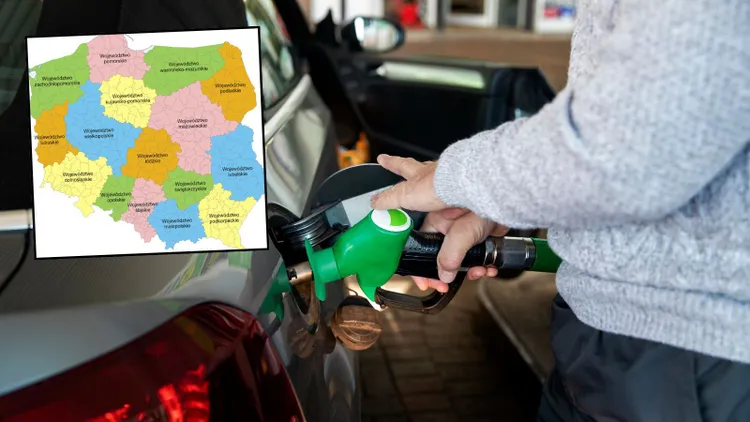 Wielkie różnice na stacjach. W tym województwie jest najtaniej