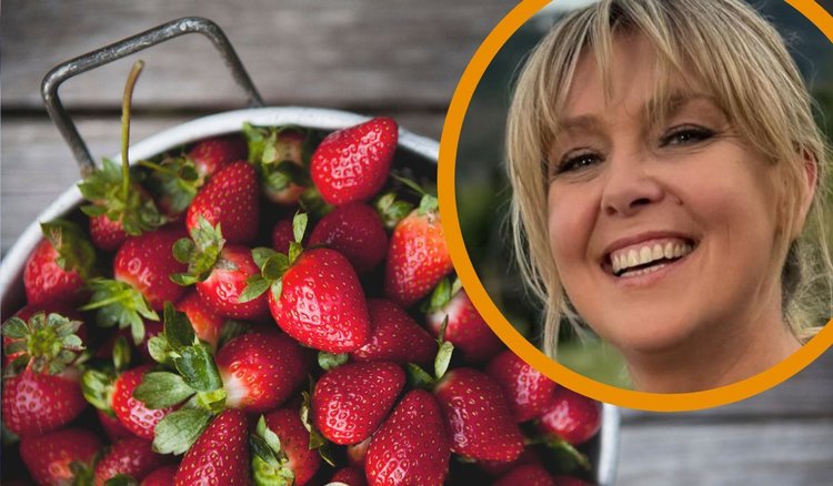 Jak Ewa Wachowicz robi pierogi z kapustą i grzybami?
