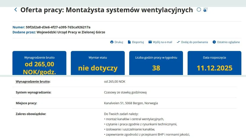 Szukają Polaków do pracy, 17 tys. zł miesięcznie. Fach w ręku ważniejszy niż dyplom