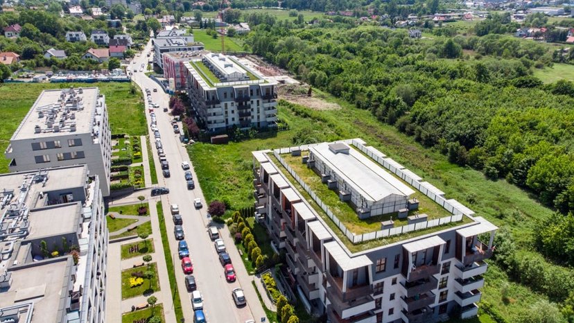 Odbetonować, zazielenić, powtórzyć. Polska zmienia swe oblicze, każdy może wziąć udział, są też dofinansowania