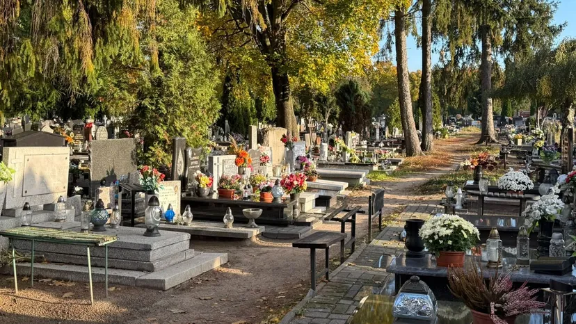 Darmowe sprzątanie grobów na Wszystkich Świętych. Mało kto wie o tej możliwości
