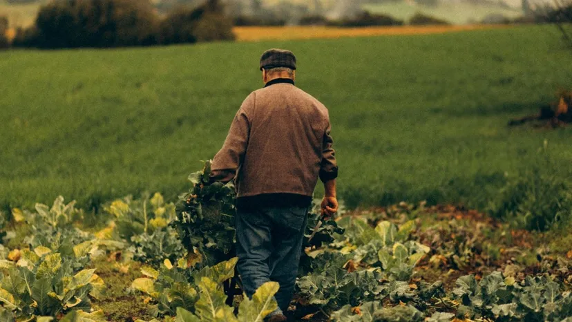 Zwrot akcyzy za paliwo ostatni raz "po staremu". W sierpniu mija termin na składanie dokumentów
