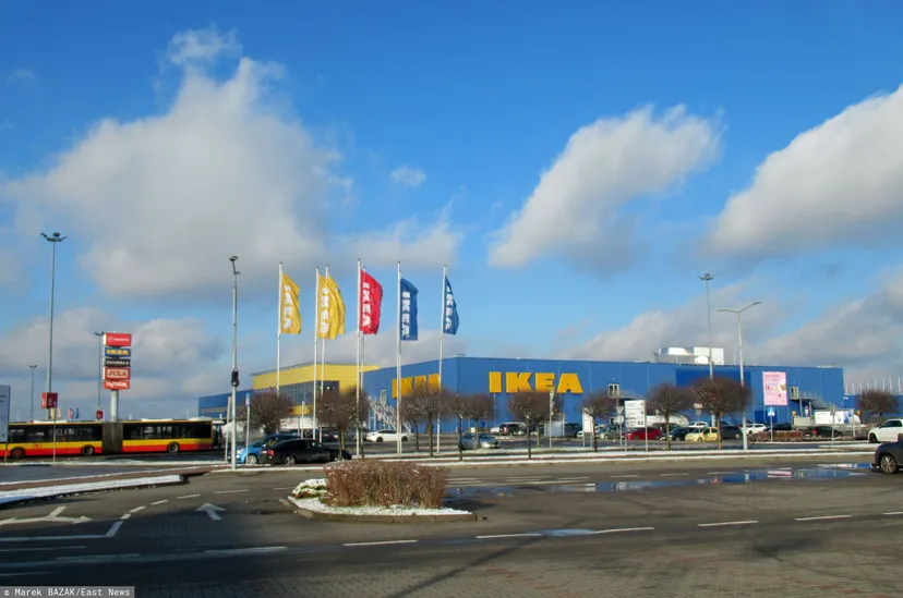 IKEA z pilnym komunikatem dla klientów. Nicienie w popularnym produkcie, sprzedaż w Polsce wstrzymana