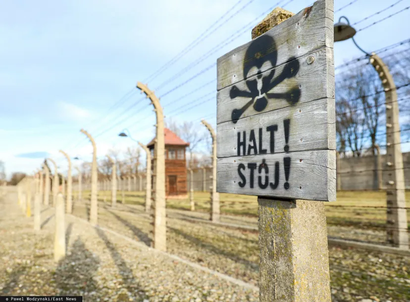 Muzeum Auschwitz-Birkenau zmienia zasady wstępu. Przed kasami kwitnie niemoralny proceder