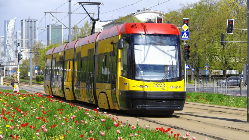 Komunikacja miejska zupełnie za darmo. Masz ten dokument? Nie kupuj biletu