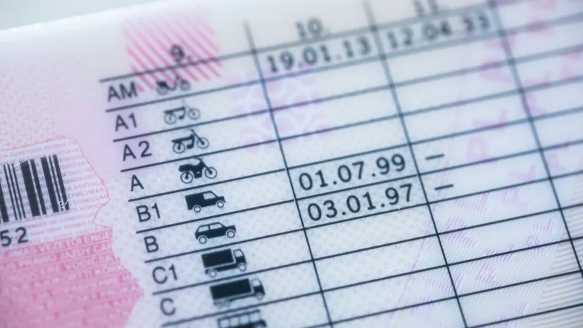 Miliony złotych z egzaminów na prawo jazdy. Ujawniono, ile zarabiają WORD-y