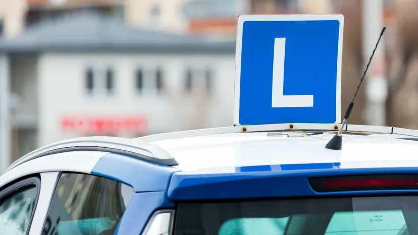 Darmowe prawo jazdy dla uczniów. Nawrocki zapowiedział nową inicjatywę
