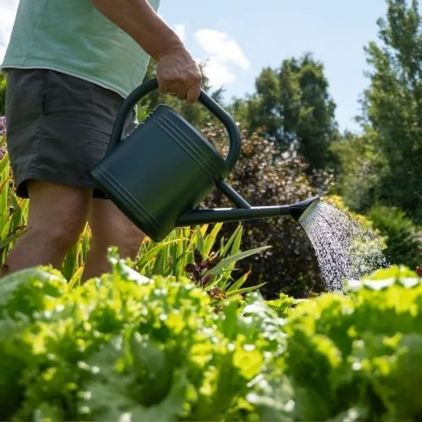 Temperatura na początek września. Wrócą upały, termometry pokażą 45 stopni