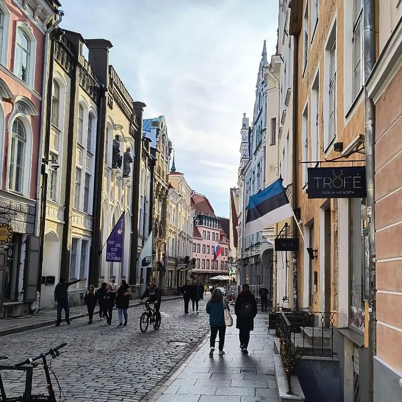 Wybory przez internet w Polsce. Byliśmy w Estonii, by sprawdzić, co może pójść nie tak