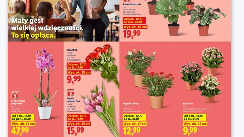 Lidl rozdaje masło po 2,49 zł za sztukę. Do tego ponad 10 okazji na Dzień Nauczyciela