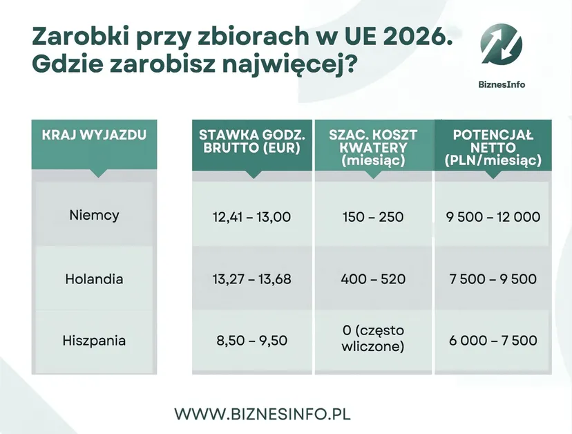 Mandarynki w Hiszpanii, maliny w Holandii, szparagi w Niemczech. Gdzie zarobisz najwięcej na wakacjach w 2026 r.?