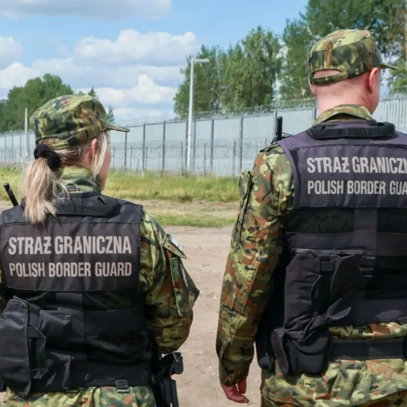 Zatrzymanie ciężarówki na granicy Polski. Interweniuje Straż Graniczna. Zaskakująca zawartość naczepy, są pierwsze zarzuty