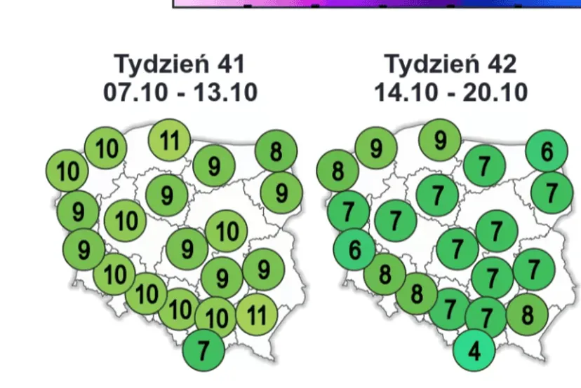 Pierwsze mrozy - synoptycy są pewni, padły daty. Prognoza pogody na październik