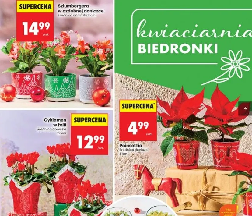 Same hity na Black Week w Biedronce. "1+1 gratis" i gigantyczne obniżki, ale czas jest ograniczony