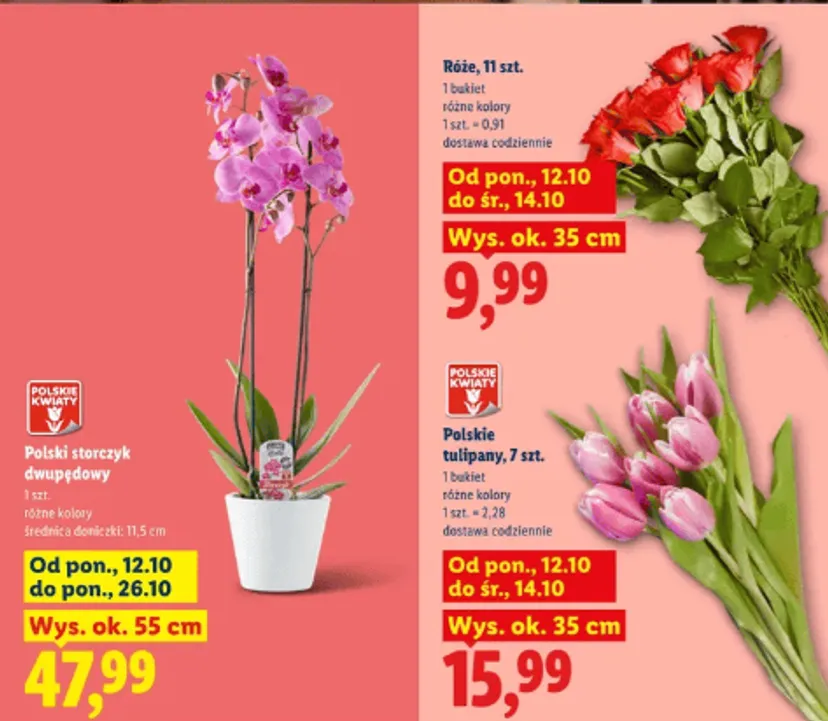 W Lidlu zacznie się po weekendzie. Oferty "2+1 za grosz" i obniżki o 50%